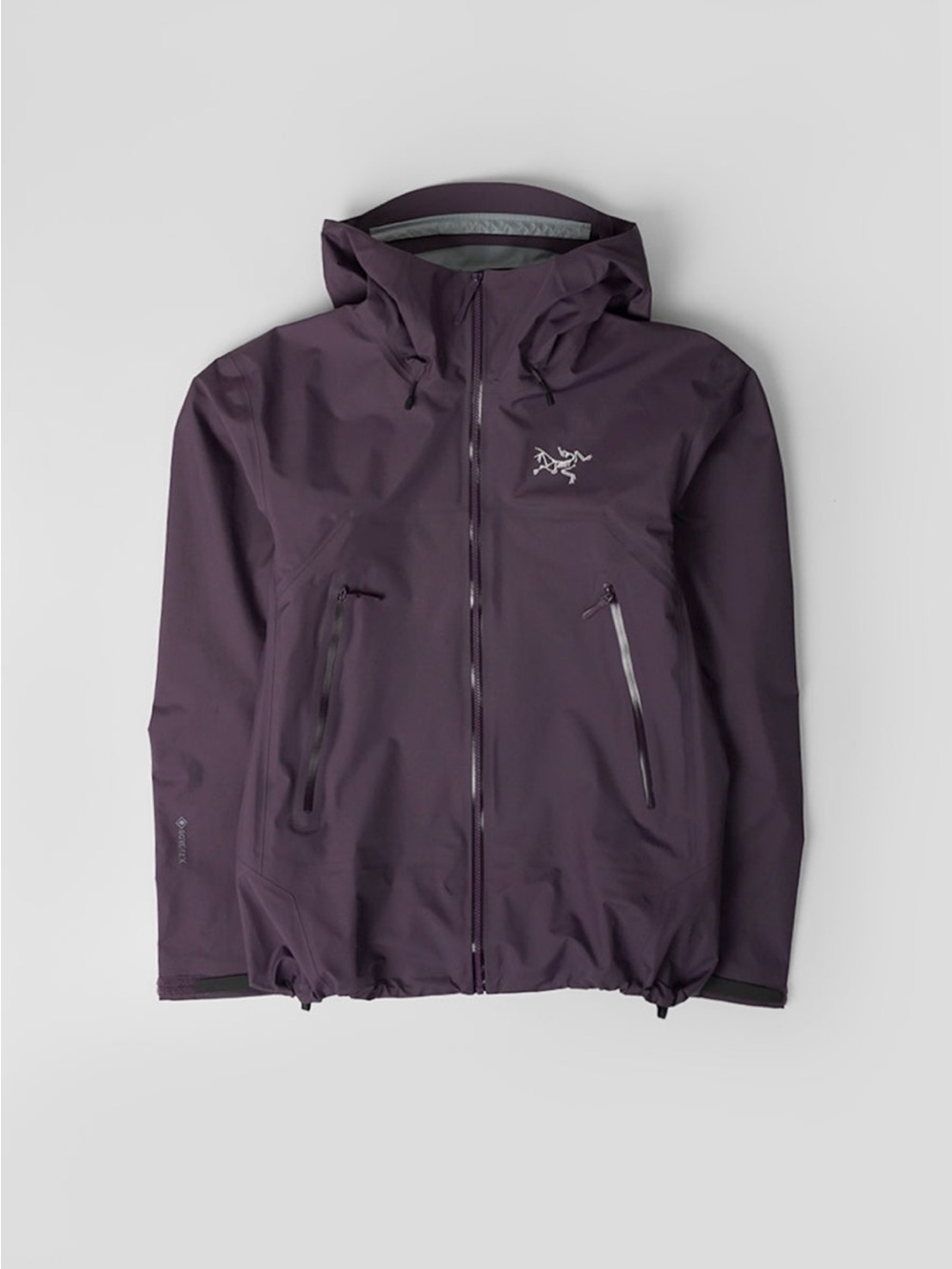 Arc’teryx Women’s Beta SL Gore-Tex Paclite Jacket Plum Purple Large
